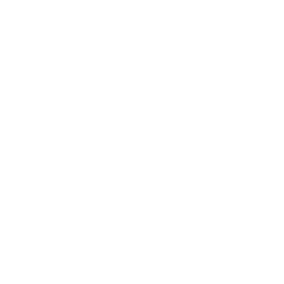 ZEPPELIN